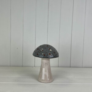 Ceramic Mushroom
