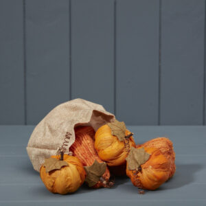 Bag of Six Pumpkins