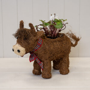 Highland Cow with Tartan Scarf TD 9cm