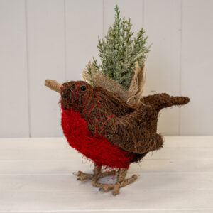 Salim Robin Red Breast Planter