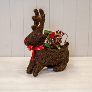 Sitting Reindeer Planter with Christmas Scarf TD 9cm