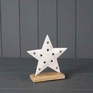 White Enamelled Star