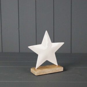 White Enamelled Star