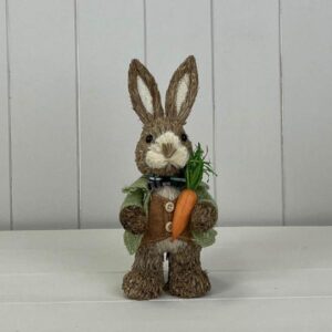 Mr Rabbit TD9x9cm