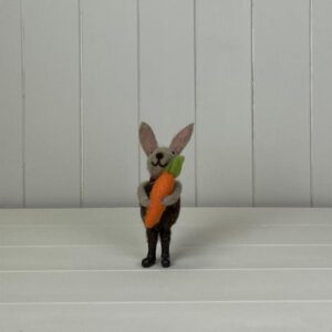 Rabbit Holding a Carrot