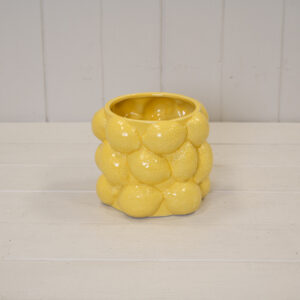 Zesty Lemon 3D Pot.