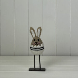 Rabbit In Egg Shell