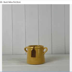 Burnt Yellow For You" Pot"