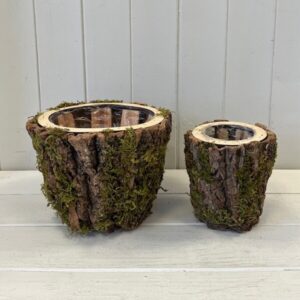 Set of Two Round Mossed Bark Wooden Pot TD20xH15.5xB14cm TD12xH13xB9cm