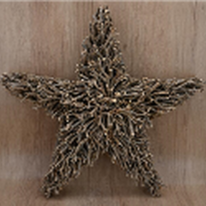 Root Branch Star Decoration