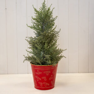 Christmas Holly Pot